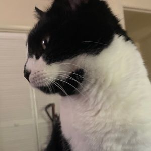 Meet your Posher, Lillian